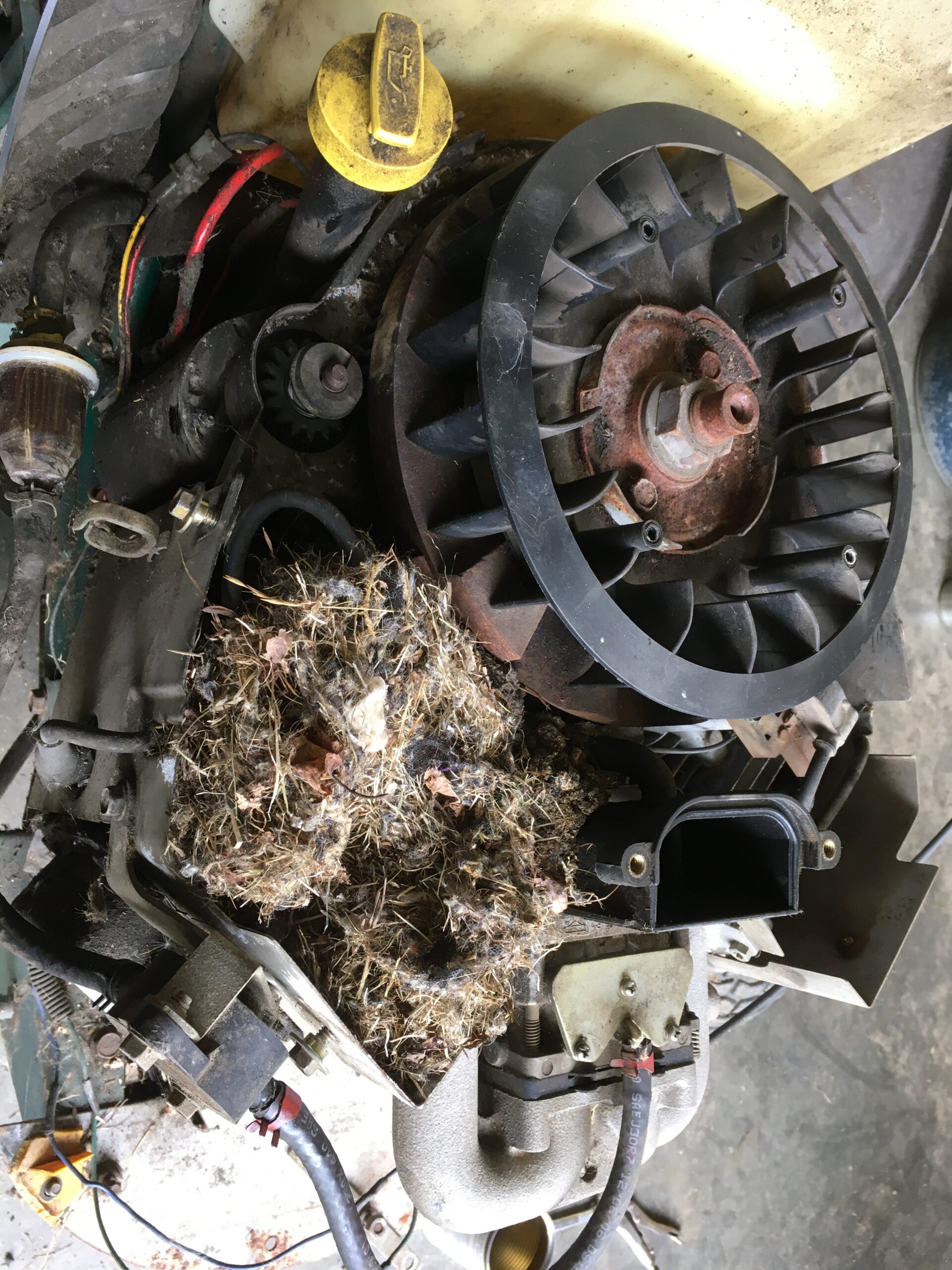 moteur sauté